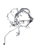 TACOMA    2017 Engine Wire Harness 667314