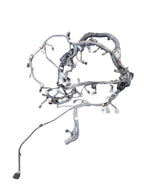 TACOMA    2017 Engine Wire Harness 667314