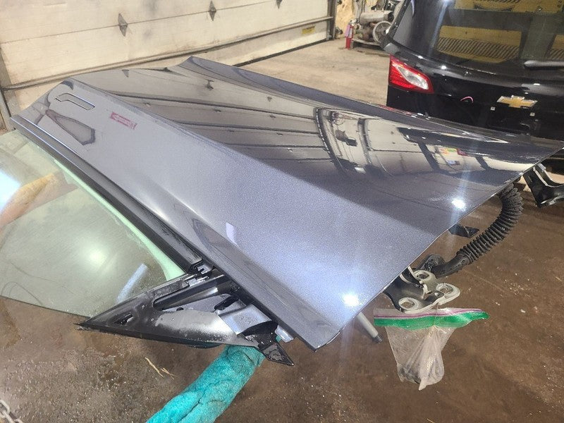 TESLA 3   2023 Front Door 652585