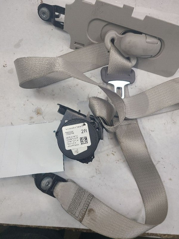 VOYAGER   2020 Seat Belt Rear 623254