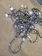 ROGUE     2020 Body Wire Harness 643755