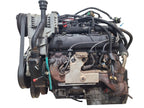 Engine 4.3L VIN W 8th Digit 6-262 ID Aba Fits 96-99 EXPRESS 1500 VAN 6