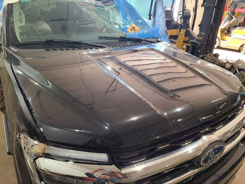 Hood Fits 18-24 EXPEDITION 679239