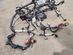 CHEROKEE  2015 Engine Wire Harness 607234