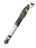 ESCALADE  2016 Shock Absorber 664154