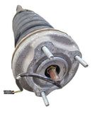 GHIBLI    2019 Strut 664939