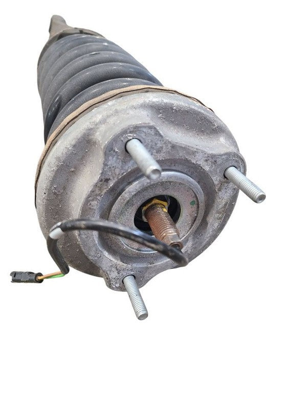 GHIBLI    2019 Strut 664939