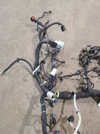 SILVRDO15 2022 Engine Wire Harness 617269