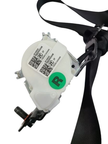 TELLURIDE 2020 Seat Belt Rear 601519