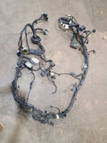 EXPEDITON 2022 Body Wire Harness 679706