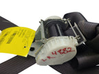 SIERRA250 2011 Seat Belt Rear 611843