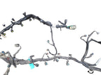 RAM15NEW  2019 Engine Wire Harness 654641