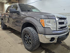 Passenger Door Handle Exterior Door Rear Fits 04-14 FORD F150 PICKUP 6