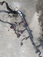 RENEGADE  2016 Engine Wire Harness 616537