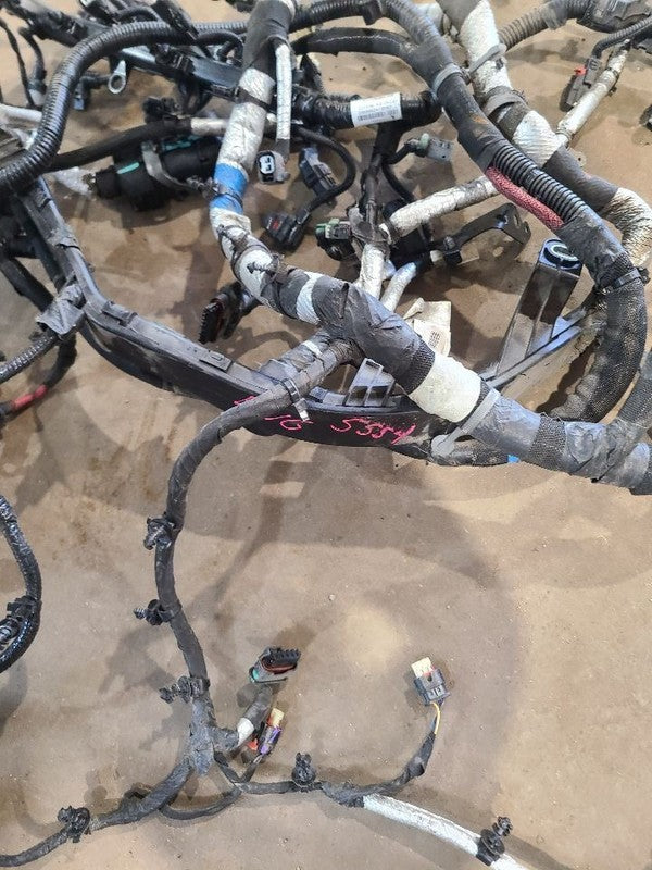 DURANGO   2019 Engine Wire Harness 669160