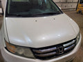 Hood Fits 14-17 ODYSSEY 661624