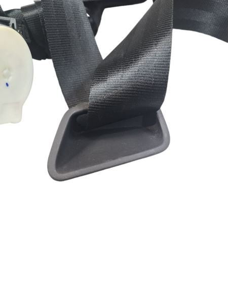 ESCAPE    2018 Seat Belt Rear 592480