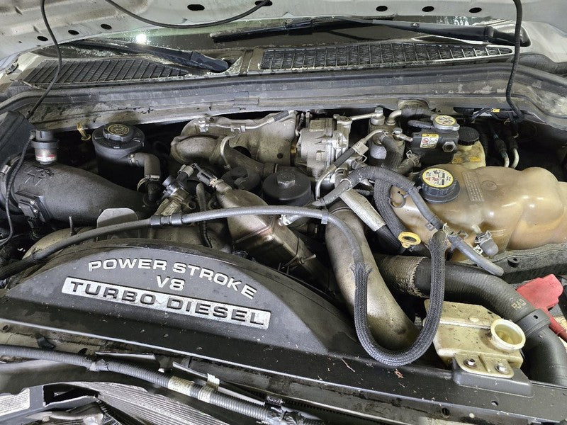 F250SD    2008 Seat Belt Rear 626606