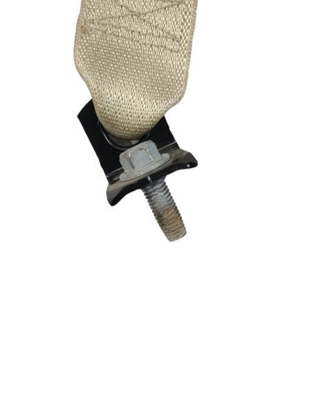TAURUS    2015 Seat Belt Rear 585602