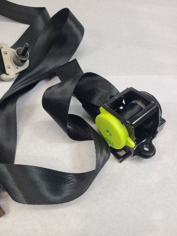 EDGE      2017 Seat Belt Rear 612790