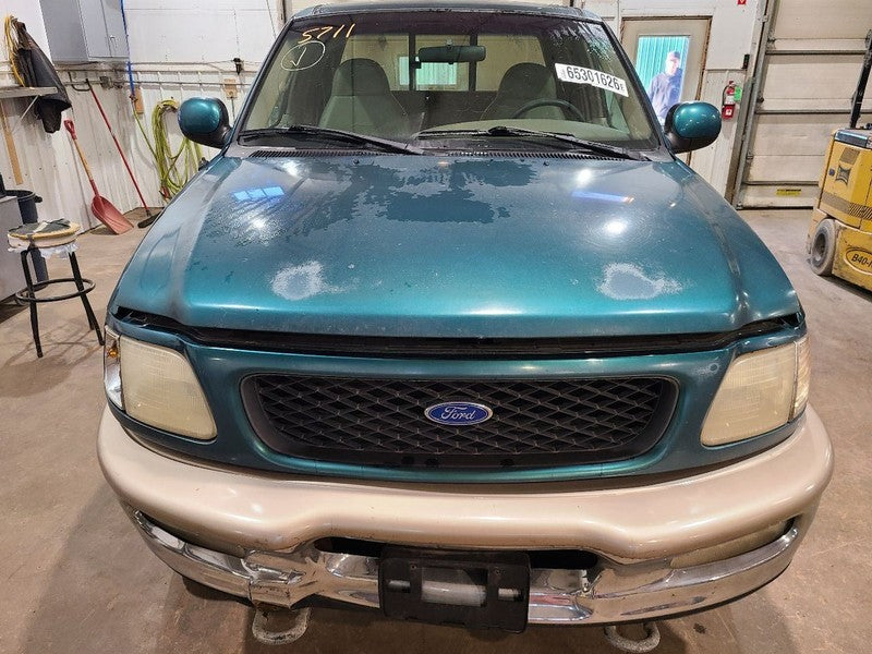 F150      1997 Front Door Trim Panel 678727