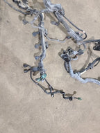PILOT     2016 Engine Wire Harness 608444