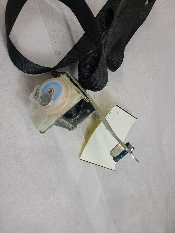 OPTIMAKIA 2016 Seat Belt Rear 605472