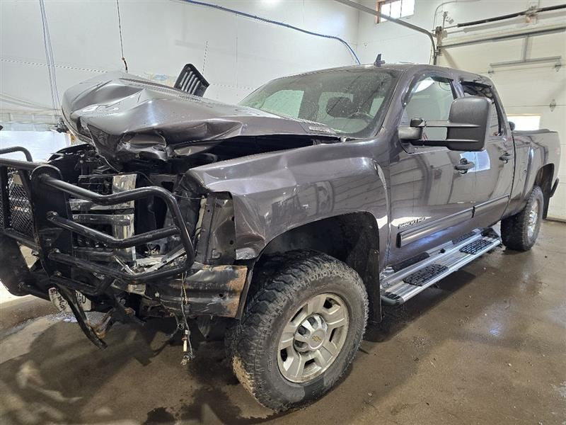 SILVRDO25 2010 Seat Belt Rear 605978
