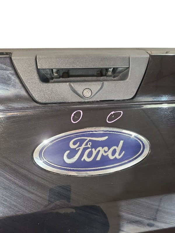 Trunk/Hatch/Tailgate Rear View Camera Fits 18-20 FORD F150 PICKUP 6542
