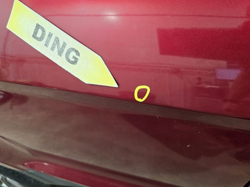 Passenger Rear Side Door With Privacy Tint Glass Fits 18-22 ECOSPORT 6