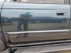 Driver Front Door Limited Body Side Moulding Fits 96-02 4 RUNNER 64300
