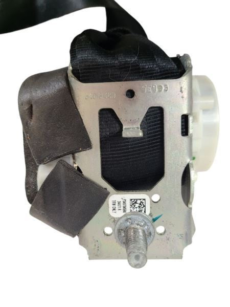 FOCUS     2017 Seat Belt Rear 601039
