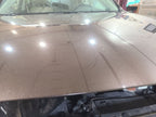 Hood Fits 15-19 LEGACY 666361