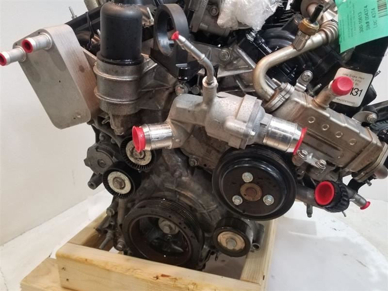 F150      2021 Engine 558738