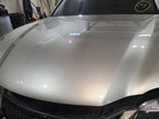 Hood Fits 13-20 LEXUS GS350 665305