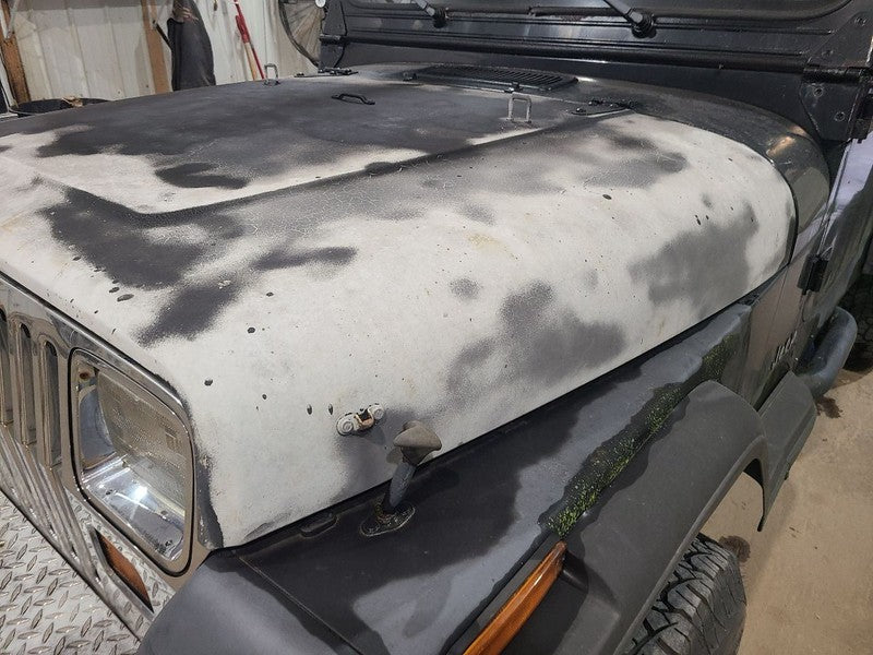 Hood Fits 87-95 WRANGLER 676909