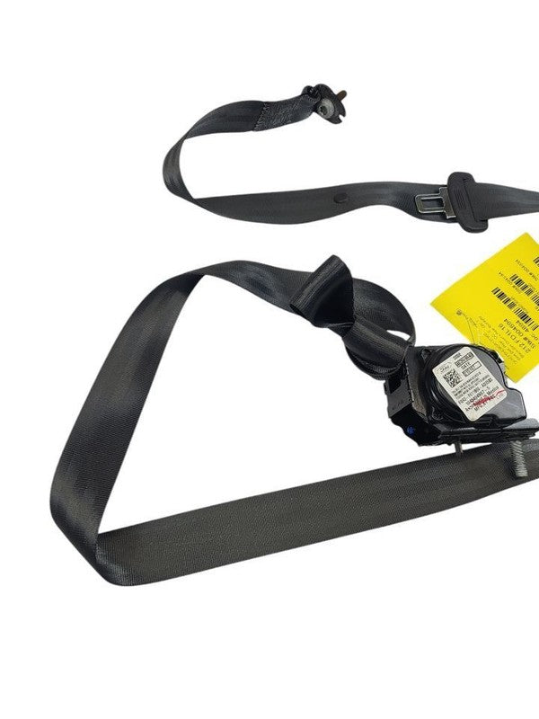 FUSION    2016 Seat Belt Rear 613045