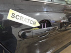 Passenger Rear Side Door Electric Tinted Fits 10-19 TAURUS 597336