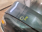 Hood Fits 01-04 TACOMA 679522
