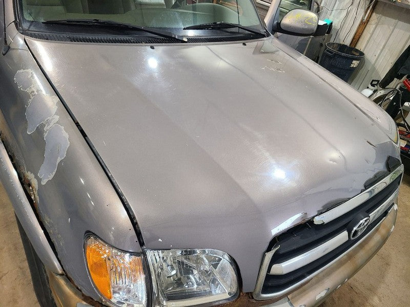 Hood Fits 01-07 SEQUOIA 657724