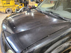 Hood Fits 01-04 TACOMA 670582