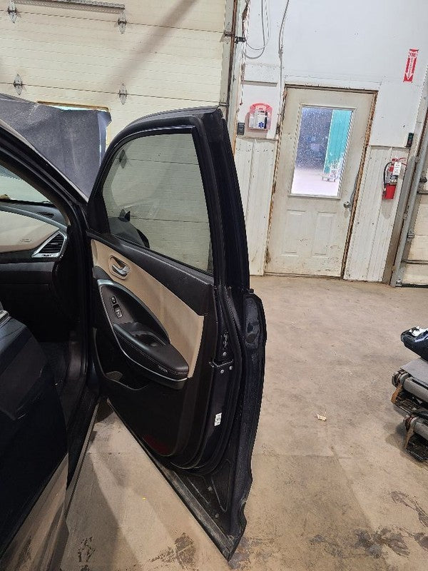 Passenger Right Front Door LWB Fits 15-19 SANTA FE 604344