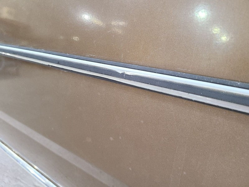 DART      1975 Door Moulding Front 668124