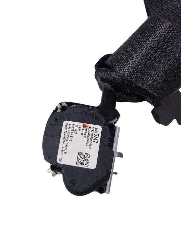 SILVRDO25 2022 Seat Belt Rear 642623