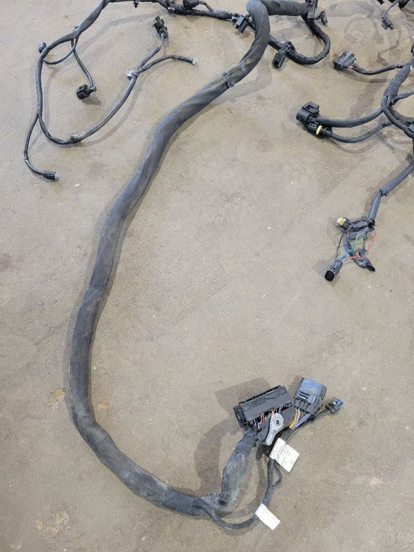 SPRINTV25 2020 Engine Wire Harness 672107