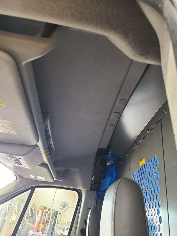 TRANSIT25 2019 Headliner 662713