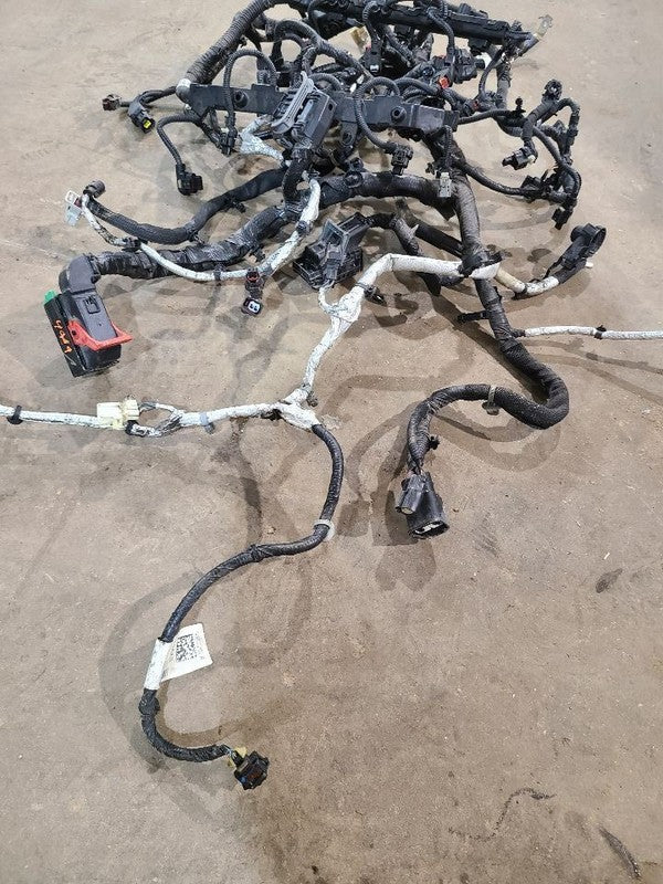 VOYAGER   2020 Engine Wire Harness 623331