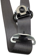 SIEDENALI 2010 Seat Belt Rear 613150