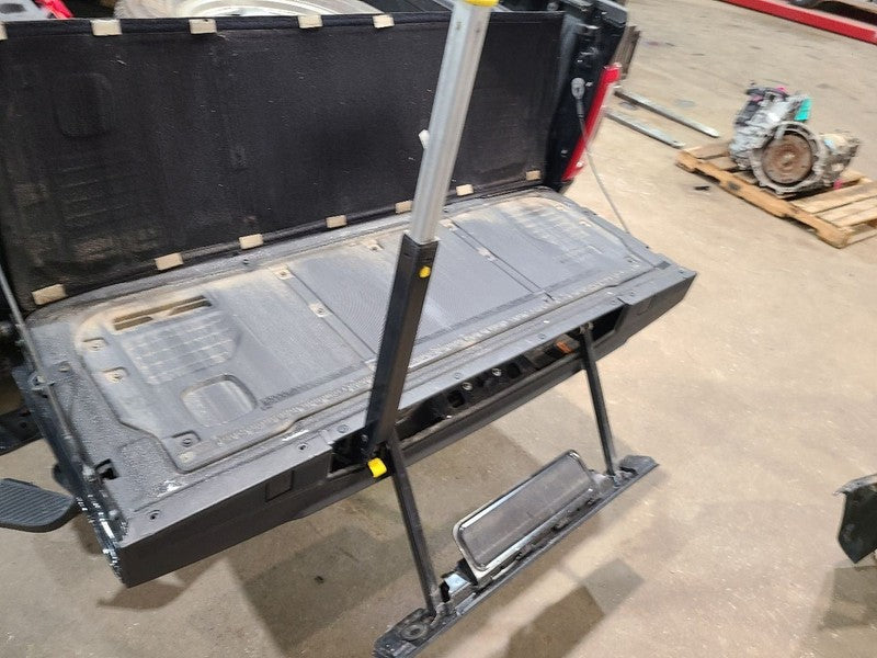 Trunk/Hatch/Tailgate Platinum Fits 21-23 FORD F150 PICKUP 680765