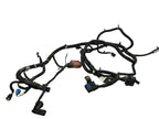 ESCALAESV 2017 Lamp Wiring Harness 590734